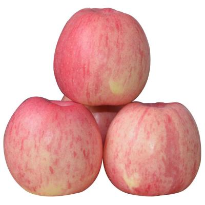 China Fresh delicious fresh fuji apples red fruit for sale