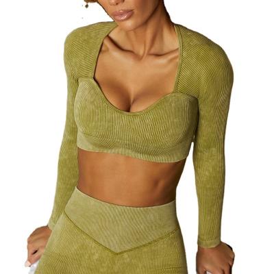 China Women's Breathable Slim Body Workout Exercise Long Sleeve Crop Top Yoga Top for sale