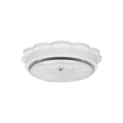 China Super Bright Waterproof Solar Garden Flood LED Ceiling Lights for Home, Garden, Porch, Patio for sale