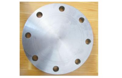 China High Tolerance Forged Steel Flanges / DN150 Blind Flanges For Pivoting Support for sale