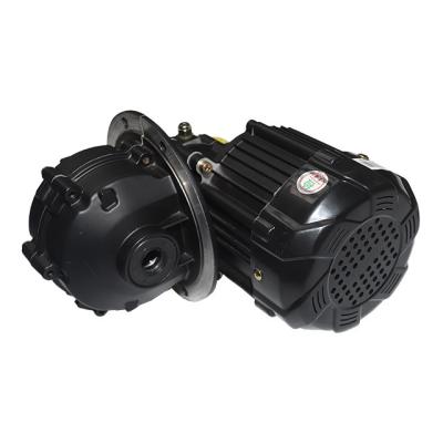 China 120 series 48V/60V 1000W 50H differential motor head motorcycle motors zoom motor for sale