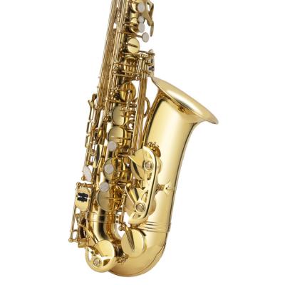 China Professional Gold Lacquer Soprano Saxophone Musical Instrument Bb Parte Tenor Saxophone for sale