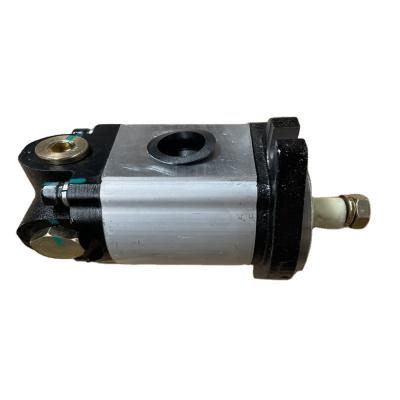 China 2020 Hot Selling TG1204.402C.8 Steering Pump For FOTON Engine Parts Standard for sale