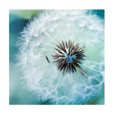 China 2021 New Full Diamond Wholesale 5D DIY Diamond Impressionist Chic Home Decoration Painting Dandelion for sale