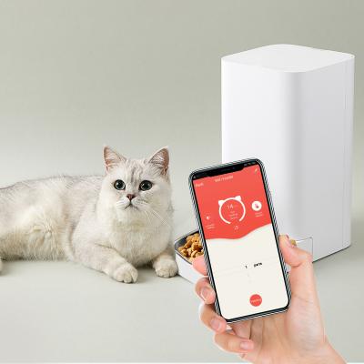 China 2021 Hot New Food Products New Smart Wifi Remote Control Cat Automatic Pet Feeder Automatic Pet Feeder for sale