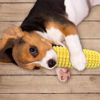 China Viable Top Selling Corn Dog Squeaky Toys Noisy Chewing Toy Dog for Aggressive Chewer for sale