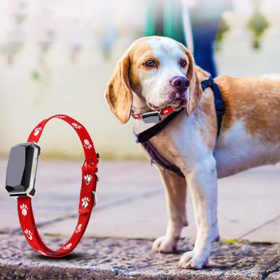 China Pet Safety Tracking Hot New Products For Pet Gps Tracking Device 10 Meter Tristar Dog Gps Tracker for sale