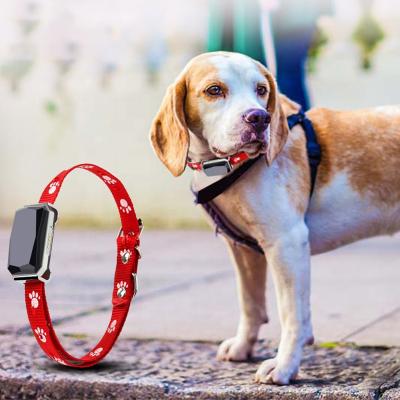 China Pet Safety Tracking Good Selling Products Location Gps Portable Real Time Tracker For Dog Training Collar for sale