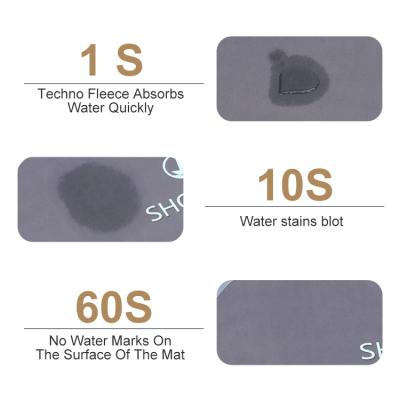 China Bathroom Mat Water Fast Dry Absorbent Floor Mat Anti Slip Luxury Bath Durable Super Absorbent Mats for sale