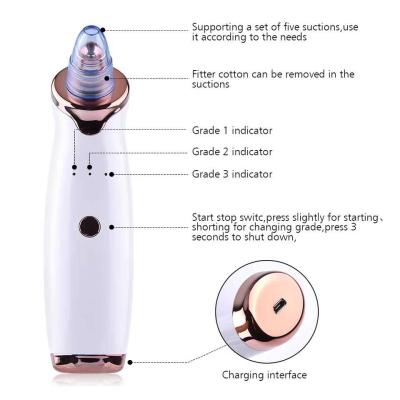 China Black Detox Beauty Multi Functional Beauty Equipment Vacuum Blackhead Remover Face Massage Remover Acne Device Care Electric Point Aspirator for sale