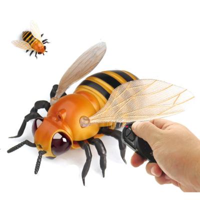 China Wholesale interesting RC hobby children beetle toy rc insect plastic toy for paly for sale