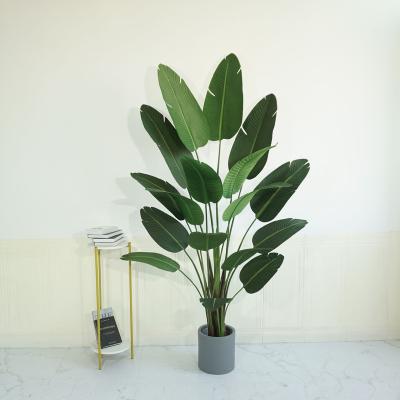 China High Quality Natural Greenery Decor Fake Touch Plant Traveler Tropical Banana Leaves Bonsai Artificial Fake Tree for sale