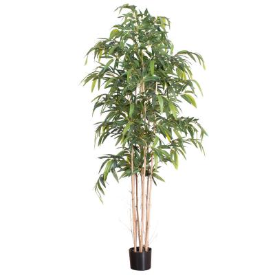 China New Style Garden Bonsai Natural Bamboo Decoration Tree Indoor Touch Artificial Plants for sale