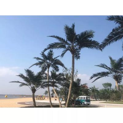 China Realistic UV resistance metal royal palm trees decorative outdoor artificial coconut tree large for sale for sale