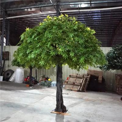 China Beautiful Decorative Artificial Japanese Chinese Maple Tree Colorful Autumn Large Outdoor Artificial Fake Evergreen Tree for sale