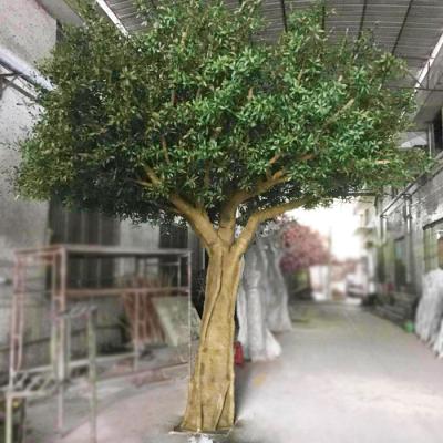 China Colorful Artificial Olive Tree Customized Beautiful Plant Trunk Fiberglass Tree Artificial Landscape Decoration for sale