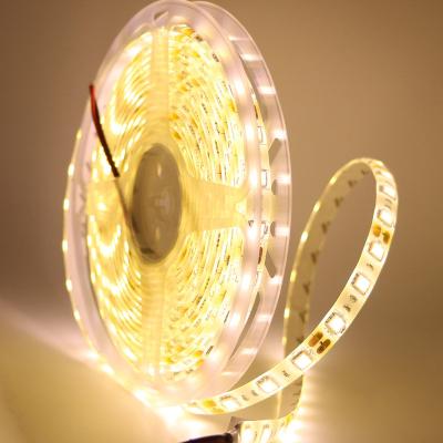 China LANDSCAPE 120 Warm White Cold White LED Led Strip Light For Outdoor Decor SMD Flexible Led Strip for sale