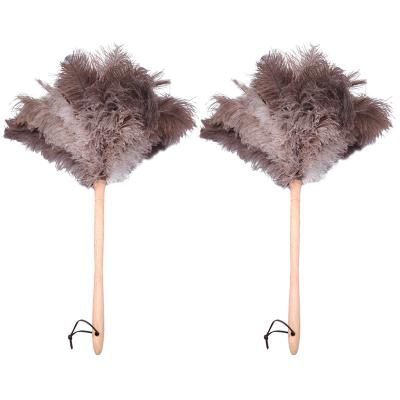 China Family Economic Wooden Handle Quality Natural Ostrich Feather Cloth For Cleaning for sale