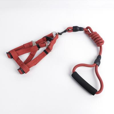 China DETACHED Pet Leash Kick Packing Leash and Collar Dog Lead Pet Leash for sale