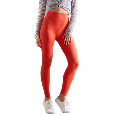 China European and American Hot Selling New High Waist Hollow Hip Yoga Fitness Pants Breathable Lunar Blue European and American Lifting Tights for sale