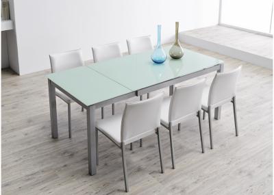 China 700mm Fashionable Extendable Glass Dining Table Lightweight With Iron Frame for sale