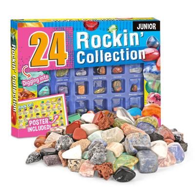 China Educational Rock Collection Kit Natural Mineral Kit for Kids 47*35.5*30cm 47*35.5*30cm for sale