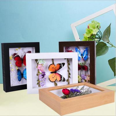 China New Classical/Postmodern Black Wooden Specimen or Herbarium Photo View Box Insect Frame for sale