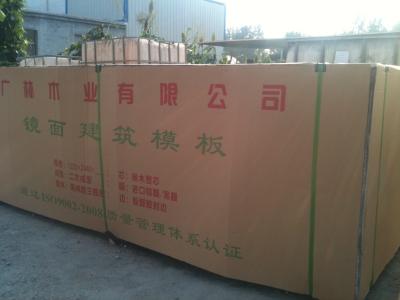 China Environmentally friendly Brown film construction plywood / marineplex shuttering plywood for sale