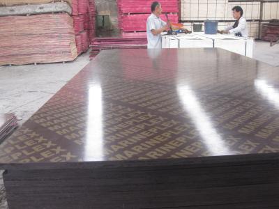 China La película de Brown de la base del álamo hizo frente a 1220x2440 Finger-Articulado madera contrachapada 12m m - 21m m en venta