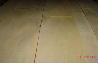 China Golden Birch Hard Crown Cut Veneer For Edge Banding And Plywood for sale