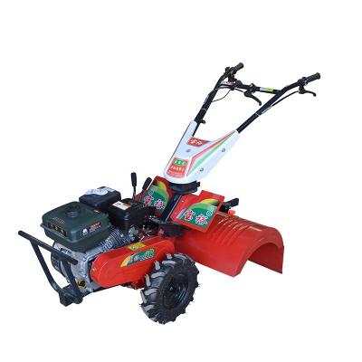 China Low Fuel Consumption Gasoline Farms High Quality Power Tiller for sale