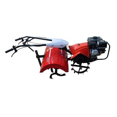 China Farms Gasoline Mini Cultivator Powered Gear Driven Power Tiller With Farm Tools Weeder Ridger Furrower for sale