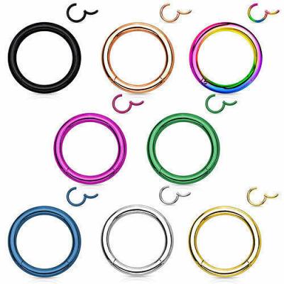 China FASHIONED Hinged Segment Rings Jewel Piercing Clickers for sale