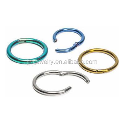 China FASHIONABLE Ti Hinged G23 Segment Rings Quality Nose Hinged Segment Septum Clicker Ring for sale