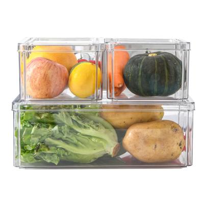 China Viable Storage Box Manufacturer Freezer Plastic Transparent Food Fridge Storage Box for sale