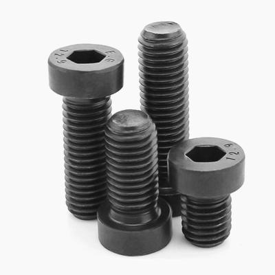 China High Strength HEX Alloy Steel Bolt Din7984 Hex Grade12.9 Low Thin Short Socket Head Screw for sale