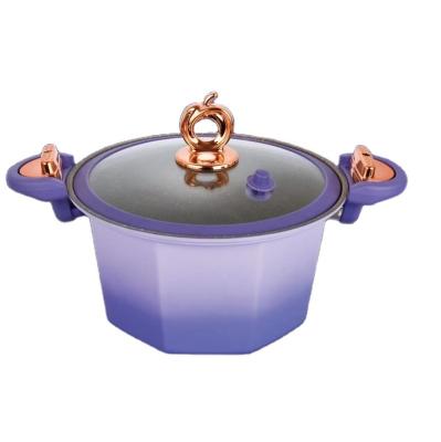 China Household Stainless Steel Micro Pressure Cooker Large Capacity Cooking Soup Pots for sale