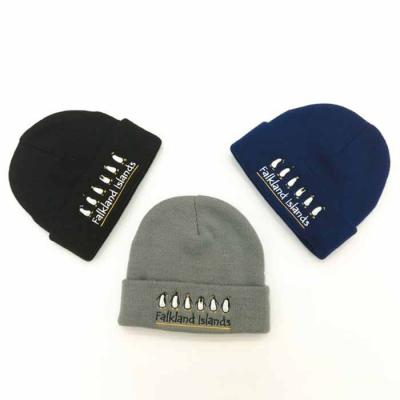 China Wholesale Customized COMMON Beanie Skull Cap Embroiedred Logo Winter Unisex Warm Acrylic Wool Knitted Hat for sale