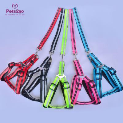 China Padded Pet Leashes Retractable Pet Leash Led Pet Collar And Leash For Large Dog for sale