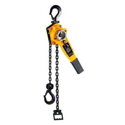 China Hotels 2 Ton Alloyed Electric Hand Lever Chain Pulley Hoist Block With Lifting Crane for sale