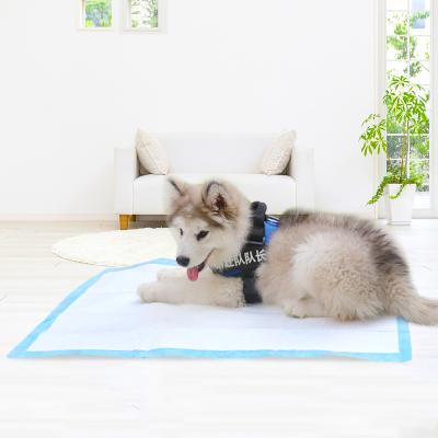 China Eco Color Viable Color Puppy Underpad Pet Diaper Pee Training Pad 100 Count Pack XL Tra Protection Extra Large for sale