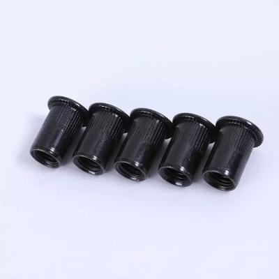 China Flat Milled Stainless Steel M6 M10 M16 Heavy Industry Rivet Carbon Blind Nut Open Nuts and Colse Rivet for sale