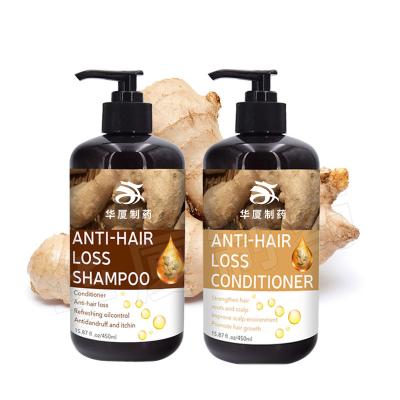 Cina Perdita naturale pura Ginger Shamp dei Anti-capelli dello sciampo dei capelli dei prodotti per capelli 100% dello sciampo del balsamo di capelli dei capelli dello sciampo dei capelli in vendita