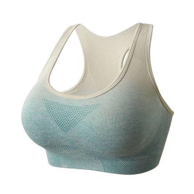 China Manufacturer Custom Elastic Band Breathable Women Plus Size Sports Bra for sale