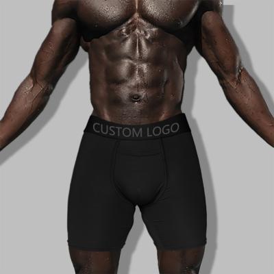 China Custom Logo Modal Sports Underwear Breathable Quick Dry Men's Briefs And Boxers Lengthen Underwear For Men for sale