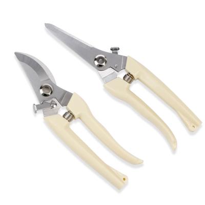 China Factory Price Anti-skid Professional Garden Handle Fruit Tree Balancing Tools Fruit Picking Flower Scissors for sale