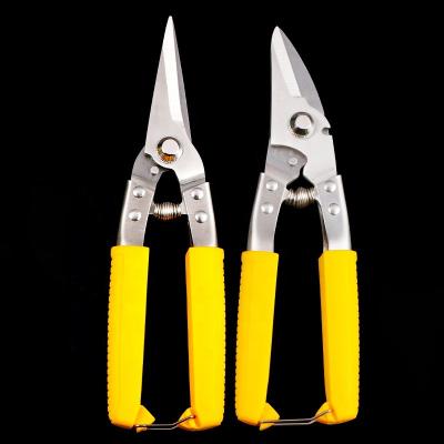 China Hot Sale Stainless Steel Garden Scissors Tree Flower Cutter Branch Shears Heavy Duty Handle Pruning Tools Anti Slip Pruner for sale