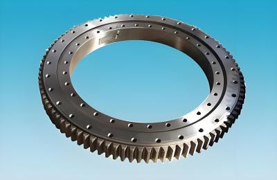 China Crane Swing Bearing Slewing Ring Swing Gear 50Mn 42CrMo Material for sale