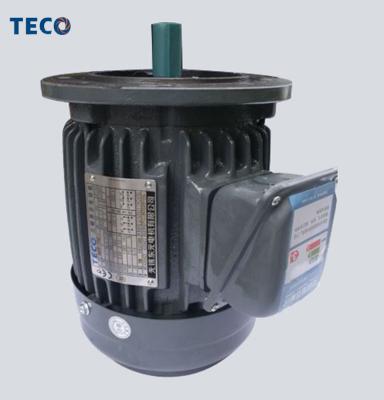 China Totally Enclosed TECO Brand 3 Phase AC Electric Motor for sale