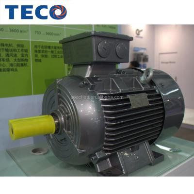 China Totally Enclosed TECO IE4 Efficiency Three Phase Induction Motors for sale